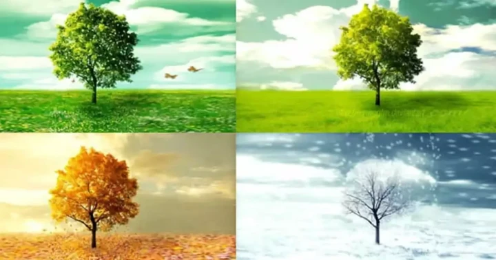 الفصل الذي تحبه يحدد صفاتك