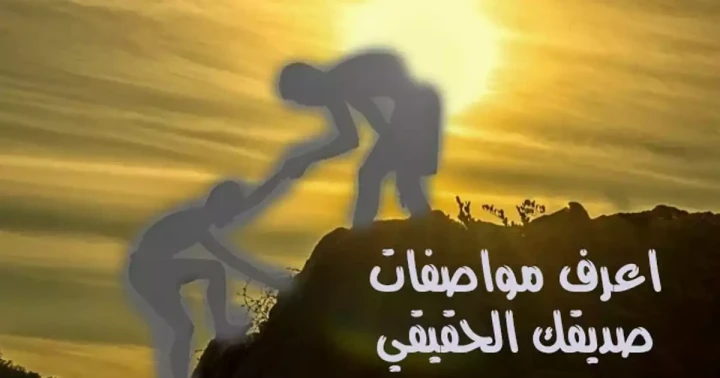 اختبار الصداقة